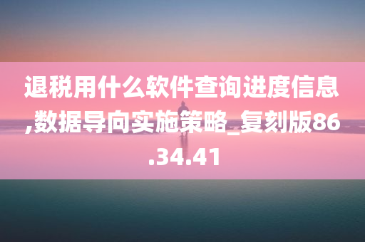 退税用什么软件查询进度信息,数据导向实施策略_复刻版86.34.41