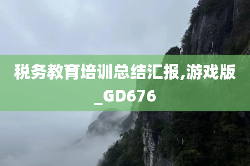 税务教育培训总结汇报,游戏版_GD676