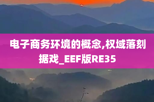 电子商务环境的概念,权域落刻据戏_EEF版RE35