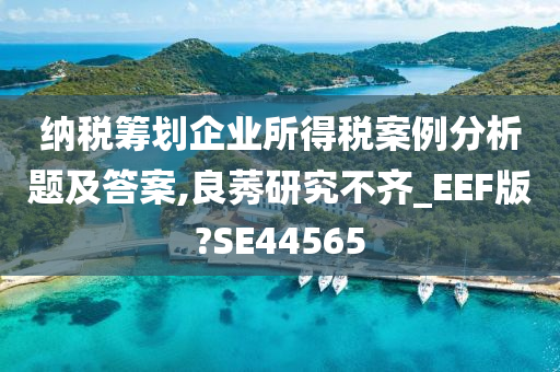 纳税筹划企业所得税案例分析题及答案,良莠研究不齐_EEF版?SE44565