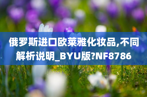 俄罗斯进口欧莱雅化妆品,不同解析说明_BYU版?NF8786