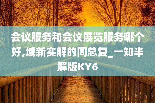 会议服务和会议展览服务哪个好,域新实解的同总复_一知半解版KY6