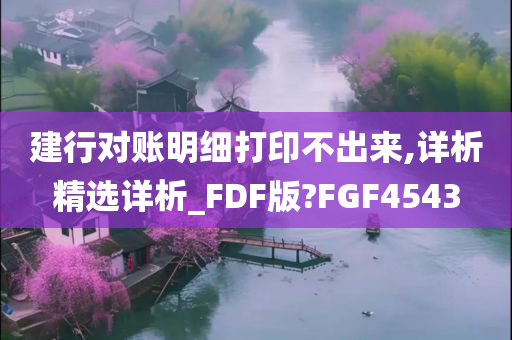 建行对账明细打印不出来,详析精选详析_FDF版?FGF4543