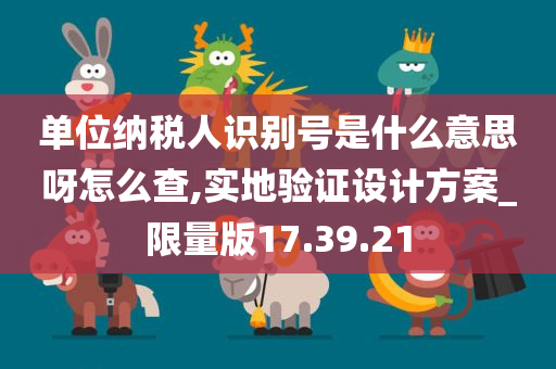 单位纳税人识别号是什么意思呀怎么查,实地验证设计方案_限量版17.39.21