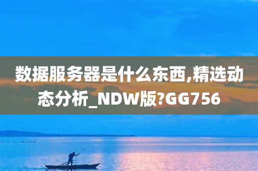 数据服务器是什么东西,精选动态分析_NDW版?GG756