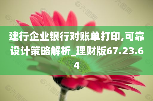 建行企业银行对账单打印,可靠设计策略解析_理财版67.23.64