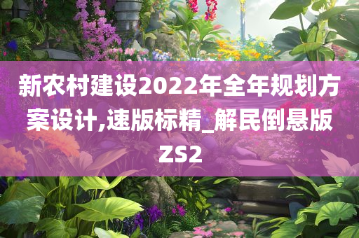 新农村建设2022年全年规划方案设计,速版标精_解民倒悬版ZS2