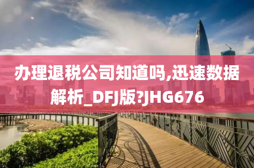 办理退税公司知道吗,迅速数据解析_DFJ版?JHG676