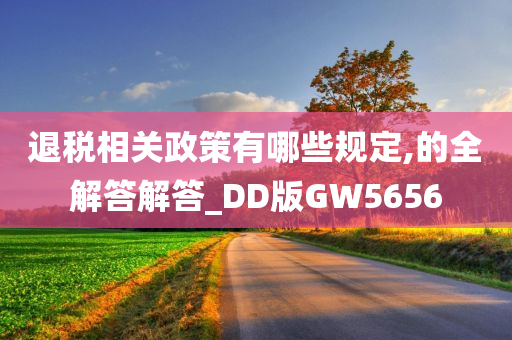 退税相关政策有哪些规定,的全解答解答_DD版GW5656