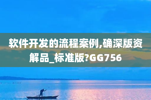 软件开发的流程案例,确深版资解品_标准版?GG756