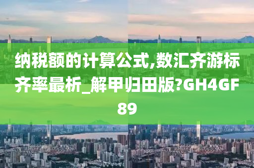 纳税额的计算公式,数汇齐游标齐率最析_解甲归田版?GH4GF89