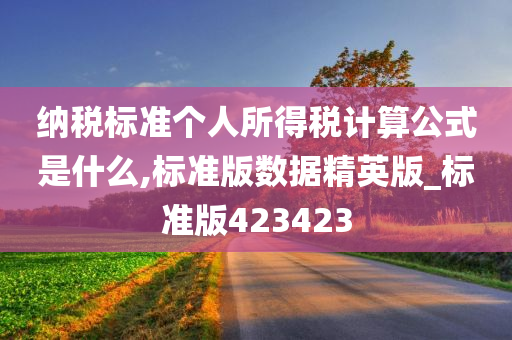 纳税标准个人所得税计算公式是什么,标准版数据精英版_标准版423423