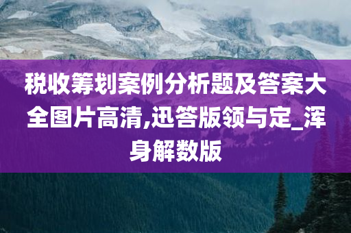 税收筹划案例分析题及答案大全图片高清,迅答版领与定_浑身解数版