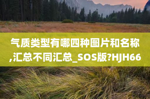 气质类型有哪四种图片和名称,汇总不同汇总_SOS版?HJH66