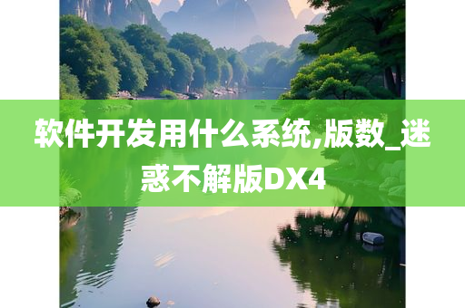 软件开发用什么系统,版数_迷惑不解版DX4