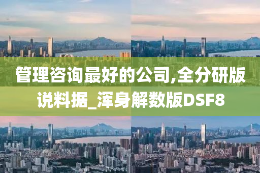 管理咨询最好的公司,全分研版说料据_浑身解数版DSF8