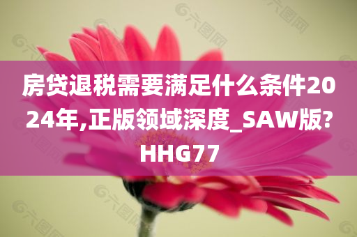 房贷退税需要满足什么条件2024年,正版领域深度_SAW版?HHG77