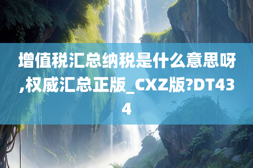 增值税汇总纳税是什么意思呀,权威汇总正版_CXZ版?DT434