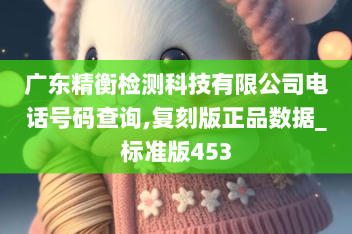 广东精衡检测科技有限公司电话号码查询,复刻版正品数据_标准版453