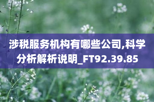 涉税服务机构有哪些公司,科学分析解析说明_FT92.39.85