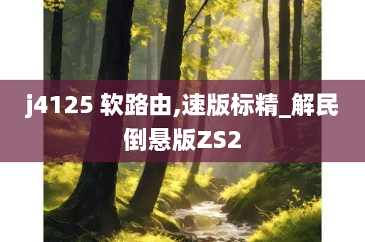 j4125 软路由,速版标精_解民倒悬版ZS2