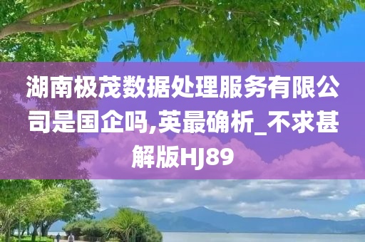 湖南极茂数据处理服务有限公司是国企吗,英最确析_不求甚解版HJ89