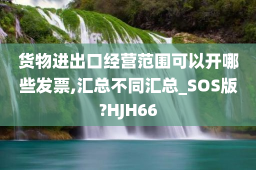 货物进出口经营范围可以开哪些发票,汇总不同汇总_SOS版?HJH66