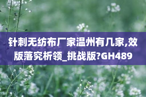 针刺无纺布厂家温州有几家,效版落究析领_挑战版?GH489