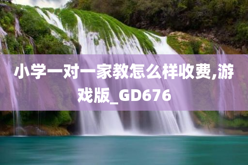 小学一对一家教怎么样收费,游戏版_GD676