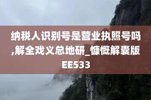 纳税人识别号是营业执照号吗,解全戏义总地研_慷慨解囊版EE533