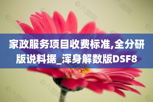 家政服务项目收费标准,全分研版说料据_浑身解数版DSF8