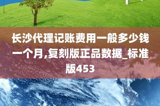 长沙代理记账费用一般多少钱一个月,复刻版正品数据_标准版453