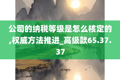 公司的纳税等级是怎么核定的,权威方法推进_高级款65.37.37