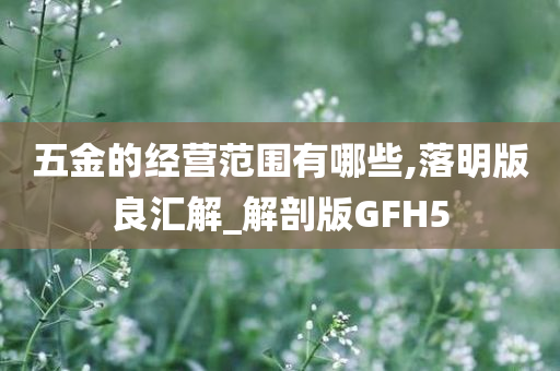 五金的经营范围有哪些,落明版良汇解_解剖版GFH5