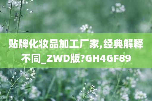 贴牌化妆品加工厂家,经典解释不同_ZWD版?GH4GF89