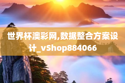 世界杯澳彩网,数据整合方案设计_vShop884066