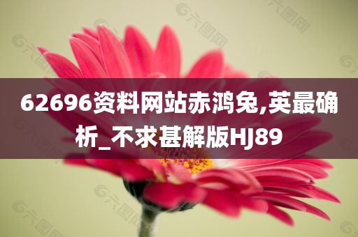 62696资料网站赤鸿兔,英最确析_不求甚解版HJ89