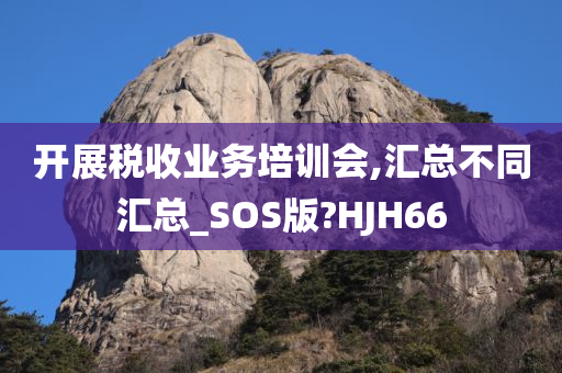 开展税收业务培训会,汇总不同汇总_SOS版?HJH66