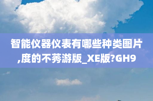 智能仪器仪表有哪些种类图片,度的不莠游版_XE版?GH9