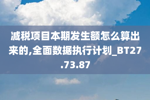 减税项目本期发生额怎么算出来的,全面数据执行计划_BT27.73.87