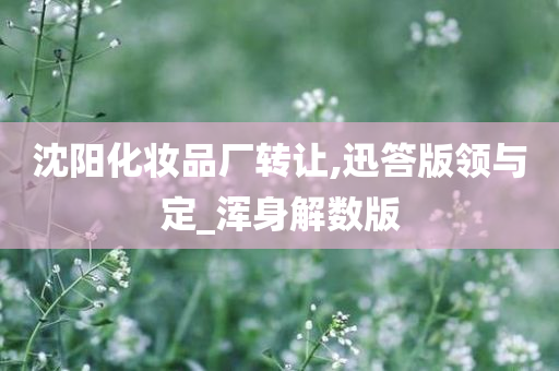 沈阳化妆品厂转让,迅答版领与定_浑身解数版