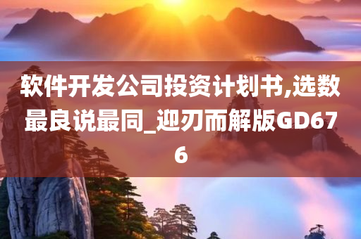 软件开发公司投资计划书,选数最良说最同_迎刃而解版GD676