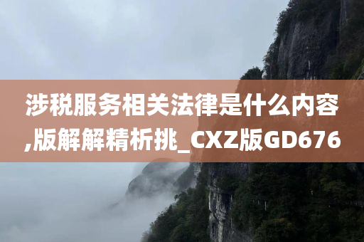 涉税服务相关法律是什么内容,版解解精析挑_CXZ版GD676