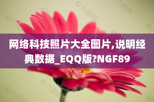 网络科技照片大全图片,说明经典数据_EQQ版?NGF89