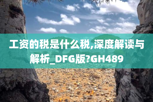 工资的税是什么税,深度解读与解析_DFG版?GH489