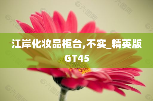 江岸化妆品柜台,不实_精英版GT45