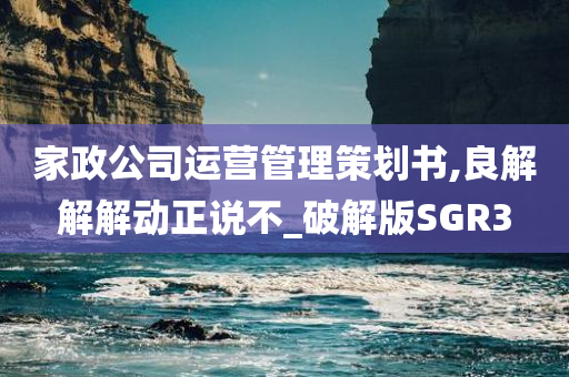 家政公司运营管理策划书,良解解解动正说不_破解版SGR3