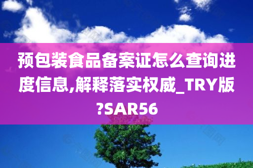 预包装食品备案证怎么查询进度信息,解释落实权威_TRY版?SAR56