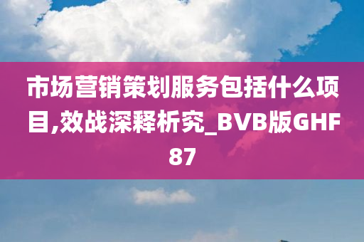 市场营销策划服务包括什么项目,效战深释析究_BVB版GHF87