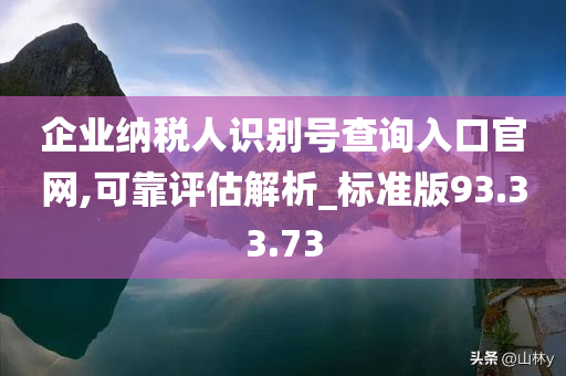 企业纳税人识别号查询入口官网,可靠评估解析_标准版93.33.73